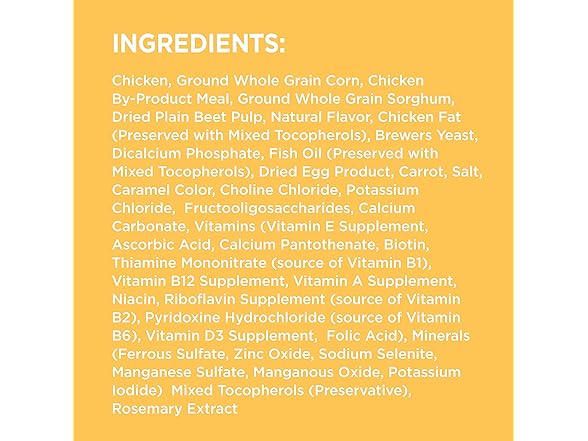 Iams Proactive Health Smart Puppy Dry Food, 7 lbs