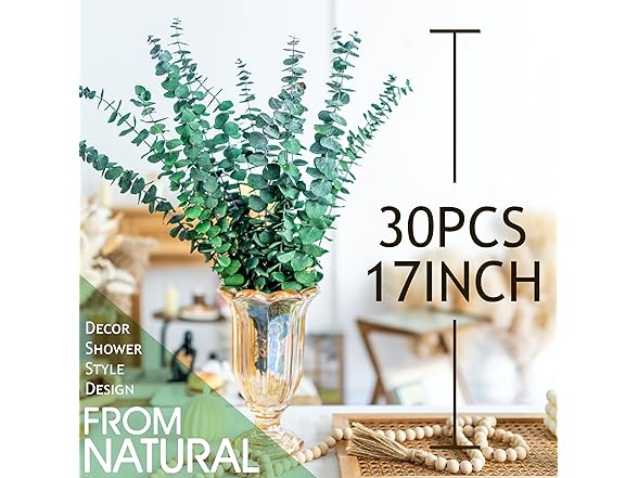 WILD AUTUMN Natural Eucalyptus Stems 30PCS-17 Real