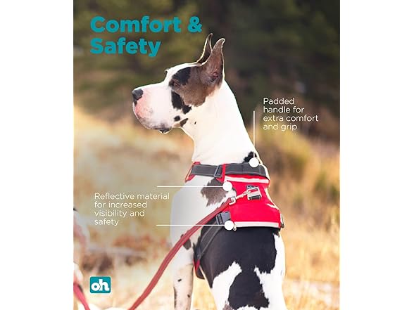 Outward Hound Boulder Adventure Adjustable Dog Harness