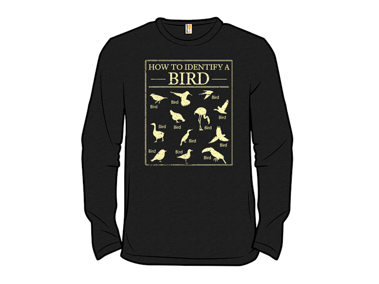 How To Identify A Bird