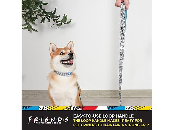 Friends TV Show City Doodle Dog Leash, 4 Ft