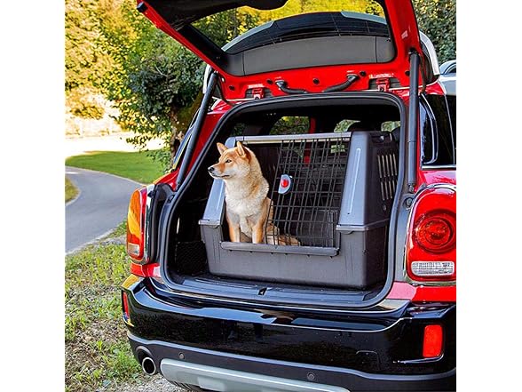 Ferplast Atlas Car Scenic 80cm Dog Carrier