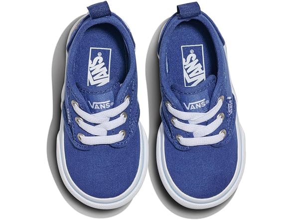 Vans Atwood Embroidery True Shoe