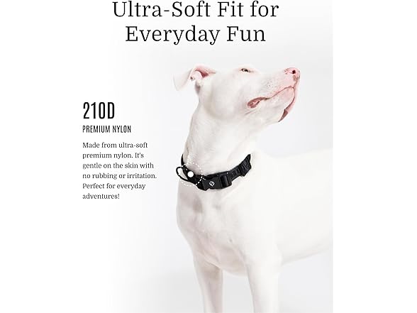 Fei & Eve Classic Dog Collar, 900D, Heavy Duty Adjustable S