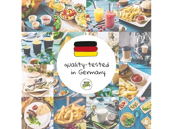 BIOZOYG Palm Leaf Plates 9in 25pk