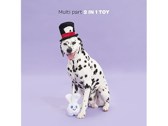 Barkbox Hat Hare