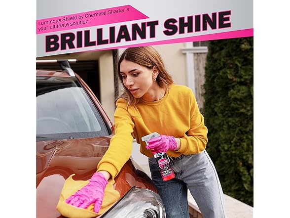 Wipe N Shine Spray