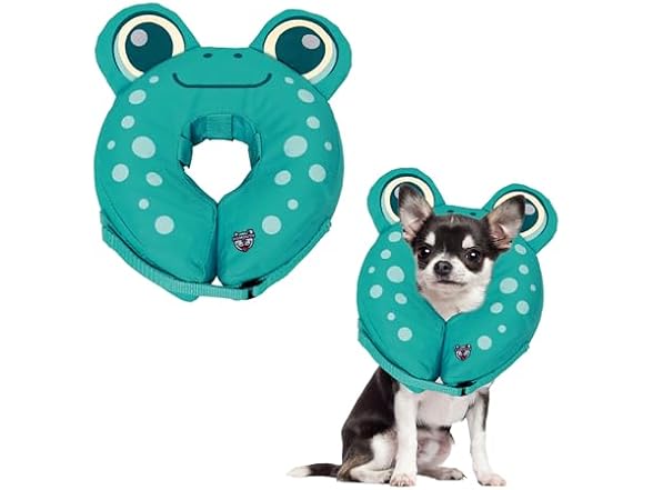 BigMouth Frog Inflatable Recovery Collar