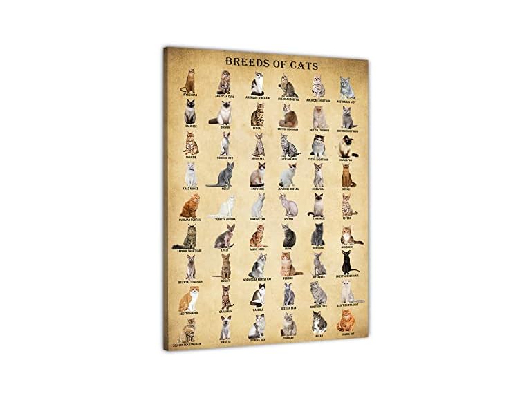 BASYEEO Cat Breeds Poster