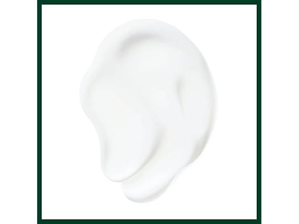 Aveda NutriPlenish Daily Moisturizing Treatment, 5 oz
