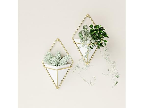 Umbra Trigg Hanging Planter Wall Decor