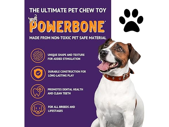 The Chew Club Power Bone Pet Chew Toy for Dogs
