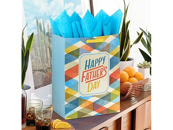 Hallmark 17" Father's Day Gift Bag
