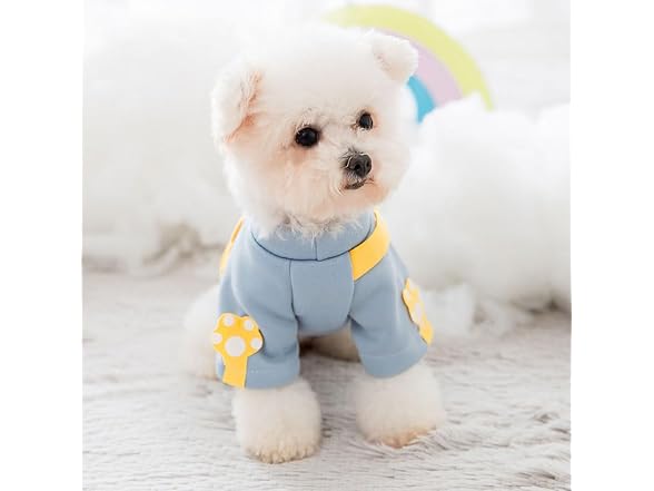 Dog Adorable Clothes with Sling Bag, Pet Cut