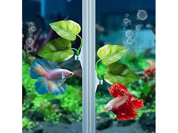 4-Pack Betta Fish Leaf Resting Pads
