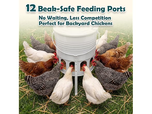 Kingump Metal Chicken Feeder No Waste