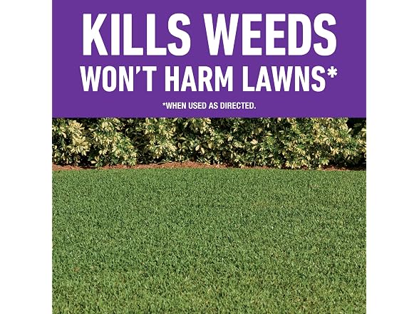 Roundup for Lawns Concentrate,  32 fl. oz.