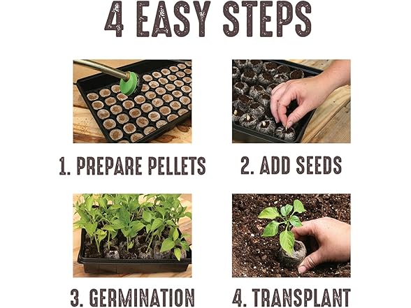 Jiffy Seed Starting Kit, 12 Cell 36mm 
