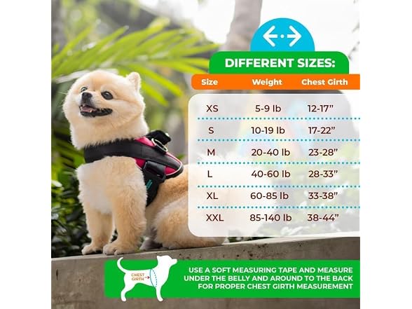 Joyride Summer Mesh No-Pull Dog Harness 2.0