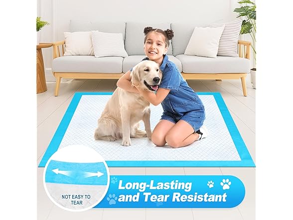 40"x40" puppy pads