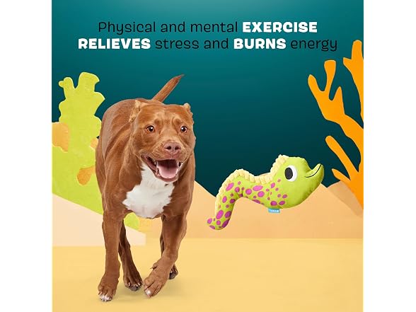 BarkBox BarkBox Maury EEL Plush Dog Toy