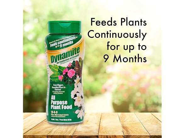 Dynamite All Purpose Plant Food 1-Pound
