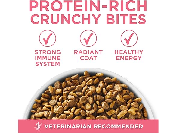 Purina ONE High Protein, Natural Dry Kitten Food