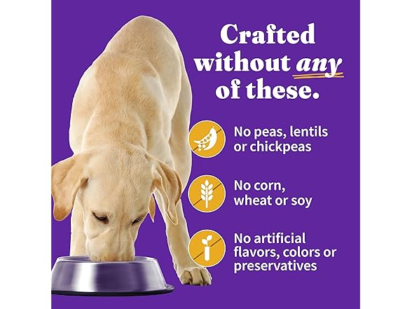 Halo Elevate Wet Dog Food 12.7 Oz Can (Pack of 6)