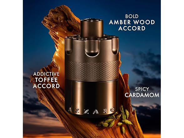 Azzaro The Most Wanted EDP Intense 3.4oz (M)