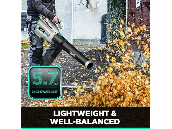 LiTHELi 40V Cordless Leaf Blower Battery Charger Includ