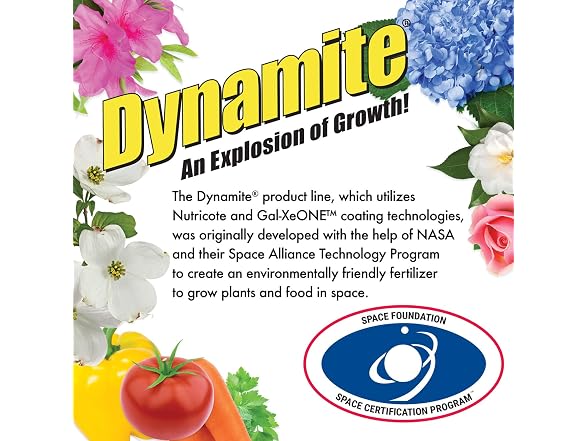 Dynamite All Purpose Plant Food 1-Pound