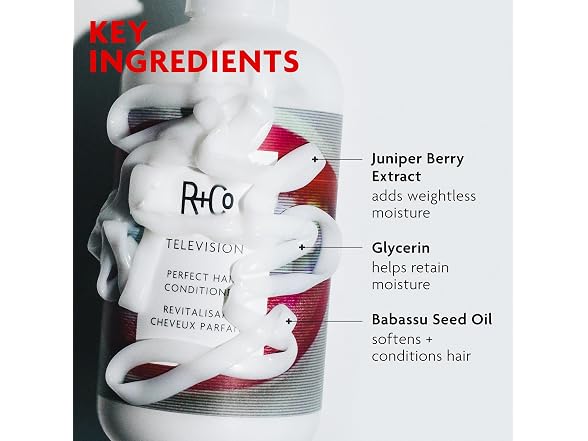 R+Co TELEVISION Perfect Hair Conditioner