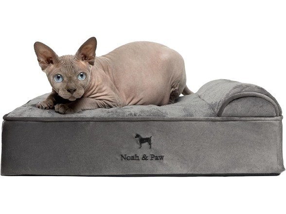 NOAH & PAW Orthopedic Dog Beds- Small