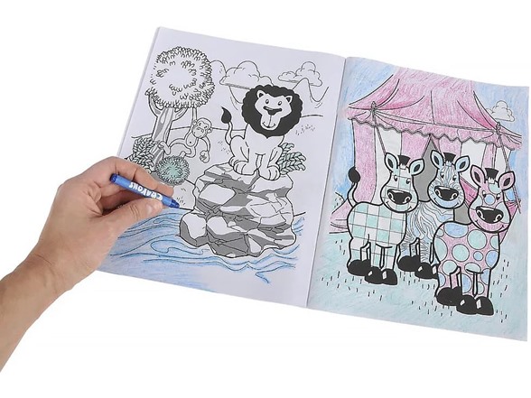 Novelty Zoo Animal Coloring Books, 10Pk