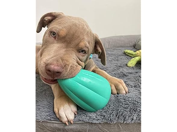 Chew King by Mammoth Premium Treat Dispensing Dog Toy