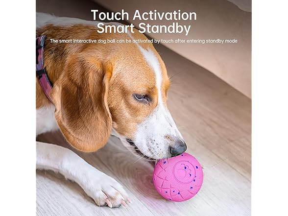Interactive Dog Toys