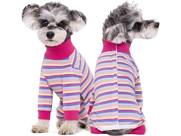 Dog Surgery Recovery Suit for Small Dogs, 4-