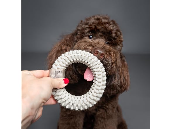 NOAH & PAW Luxury Dog Toy, TPU- Ring, Beige