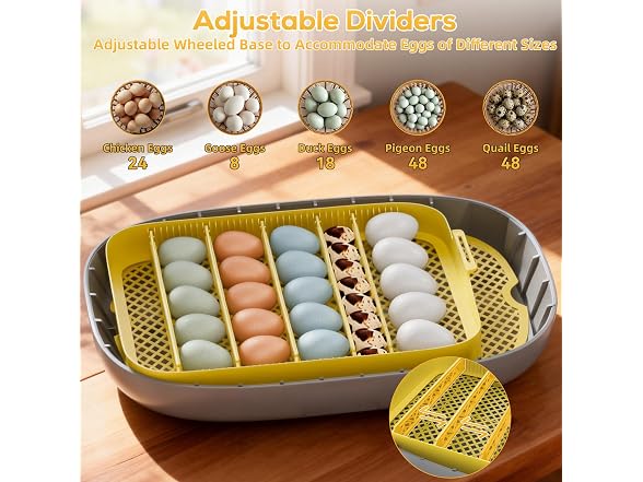 IBKINXX Incubator for Hatching Eggs