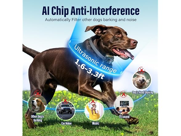 Bark Collar for Large Medium Dogs Ultrasonic