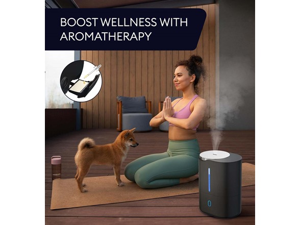 3P EXPERTS Ultrasonic Cool Mist Humidifier