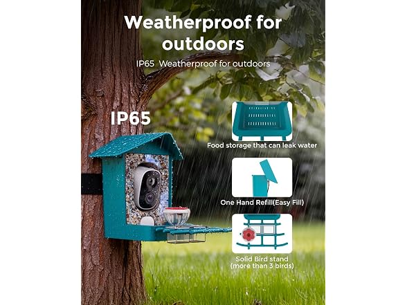 Devo Solar Smart Bird Feeder