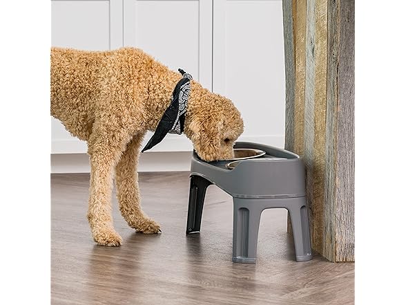 IRIS USA Elevated Dog Bowls Adjustable Stand