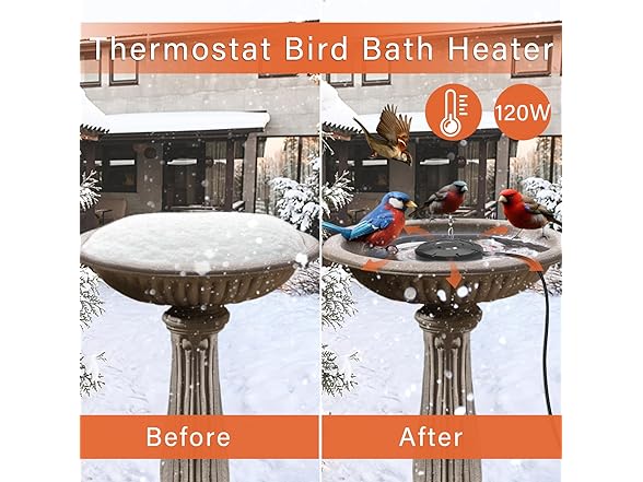 Cearktiy Bird Bath Heater