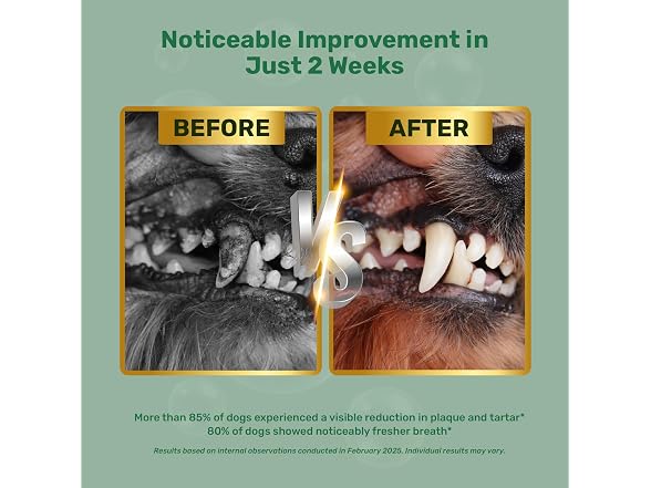 Yabercha Probiotic Dog Dental Powder