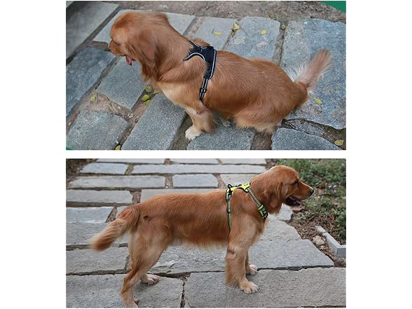 WINHYEPET True Love Dog Harness, No-Pull Ref