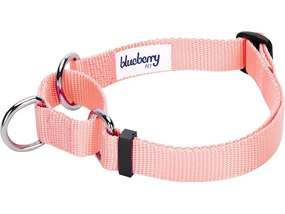 Blueberry Pet Essentials Martingale Safety Collar