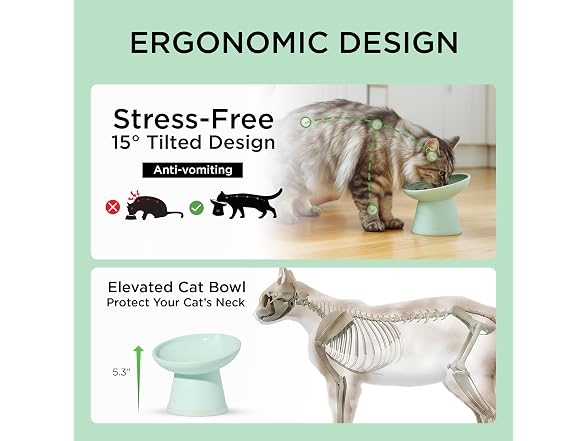 Necoichi 2pcs Tilted Elevated Cat Food Bowls