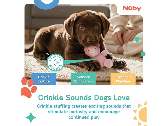 Nuby Plush Dog Toy 2-Pack – Plush Dog Toys Farm Animals