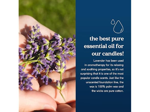 GoodLight Scented Candle Tin Paraffin Free